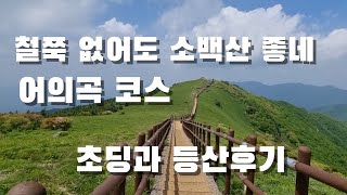 철쭉 없는 소백산도 좋음. 초등 가족 등산후기. 어의곡코스. 단양소노문 올인클루시브 가성비 짱.