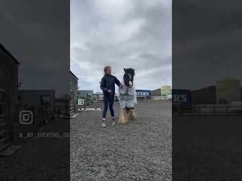 Unbox and try on my new masta fly rug !