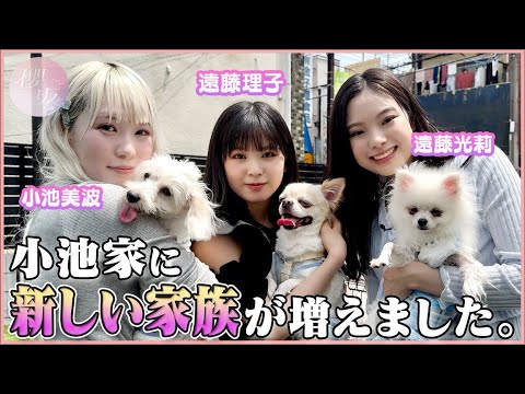 【家族が増えました】小池美波3匹の母になる！目指せ運動会！