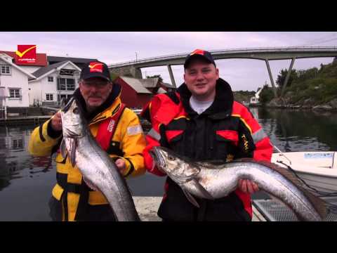 Nautnes Fiskevær - Der Film! Angeln in West-Norwegen auf Leng, Pollack und Co.