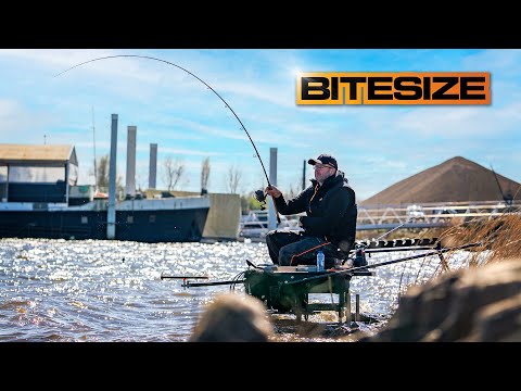 Feeder Fishing Masterclass with Steve Ringer – Belgium Special 🇧🇪
