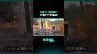 폭염 지나자 불바다, 잿더미 됐다는 유럽 / 비디오머그 #shorts