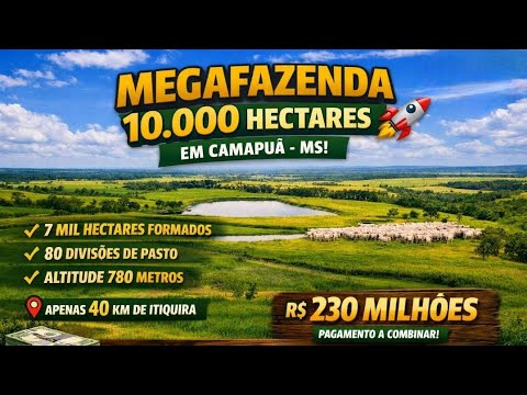Megafazenda de Dupla Aptidão à Venda em Camapuã - MS | 10.000 Hectares