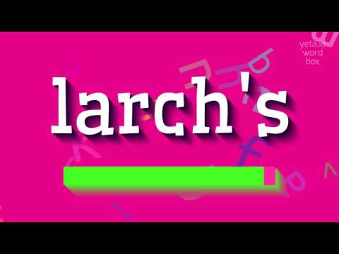 LARCH'S - HOW TO SAY LARCH'S? #larch's