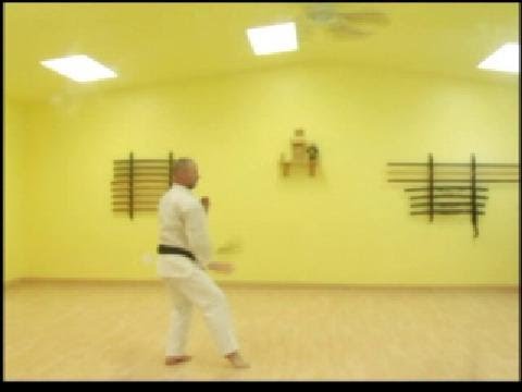 Taikyoku 4 – Shihan Charles Cusumano