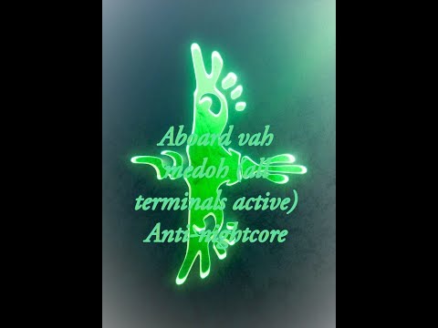 ABOARD VAH MEDOH (ALL TERMINALS ACTIVE) anti-nightcore