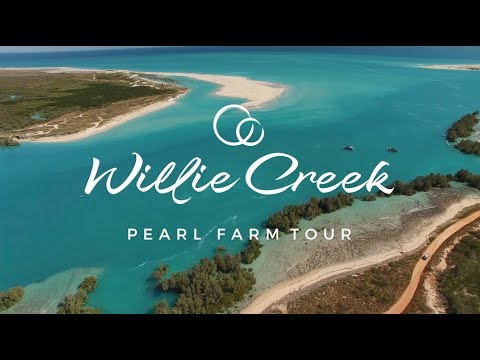 Willie Creek Pearls