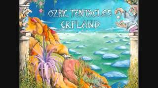 Ozric Tentacles   Crackerblocks