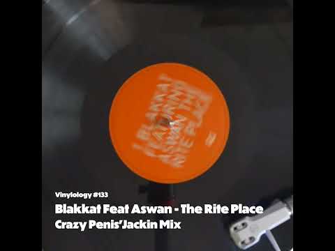 Blakkat Feat Aswan - The Rite Place (Crazy Penis'Jackin Mix)