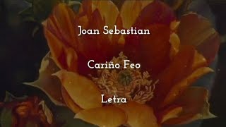 Joan Sebastian • Cariño Feo • Letra