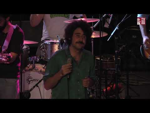 Música EL JÓVENS EN CONCERT de Els Jóvens