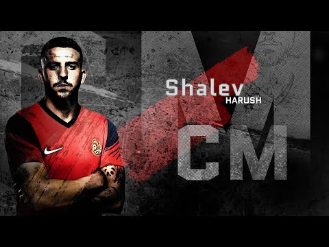 Shalev Harush ● Central Midfield ● FC Ashdod | Highlight video
