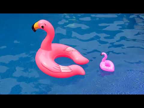 Barry Fest & Tim Schalkx - Ferry De Roze Flamingo (Satirized Remix)