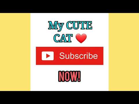 Cassie is cute when he sleeping!! 😘😘