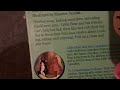 Little Bear Snacktime Tales 2002 VHS Review