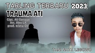 Download lagu TRAUMA ATI II TANI NATA LEGOWO  VIDIO LIRIK mp3