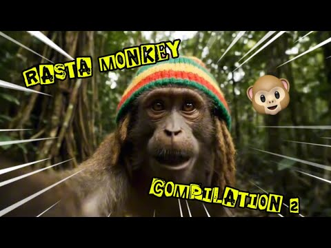RASTA MONKEY COMPILATION 2 ! 🐵🇯🇲
