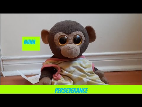 Life Lessons #22 | Testing | A STORY ABOUT PERSERVERANCE