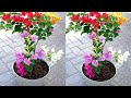 HOW TO MAKE COLORFUL BOUGENVILE