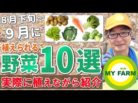  9月に蒔く種は何でしょうか？ 10種類の野菜と花が旬を迎えます！  庭園