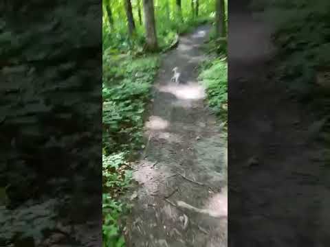 Nice trails