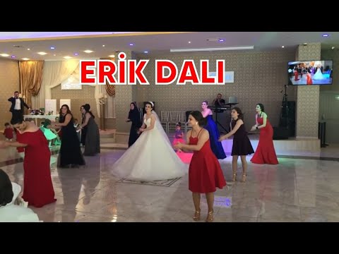 Ömer Faruk Bostan - Erik Dalı (Gelin ve Arkadaşlarının Erik Dalı Oyunu) | Sizden Gelenler