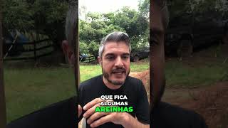 Cão com Cristais na Urina  Tratamento Natural MILAGROSO!