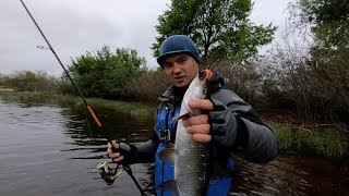 Graphiteleader prototype tiro gotps 792ml t