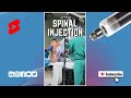 SpinE Injection Shorts