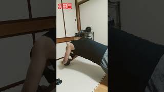 アブローラ３日目腹筋が筋肉痛の為明日のアブローラおやすみします。