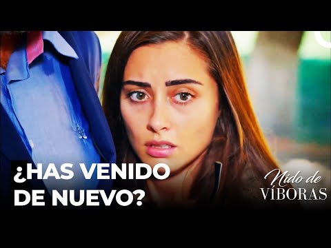 Es Imposible Salvarse De Elvan - Nido De Víboras