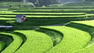 Satoyama Japan | The Secret Watergarden | Discovery English Subtitles