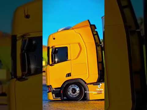 pega a estrada .#truck #estrada #caminhoneiro #trucking #goiás #trucker #nordeste #pecuaria #shorts