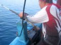 Deep Sea Fishing Trip May 2015 
