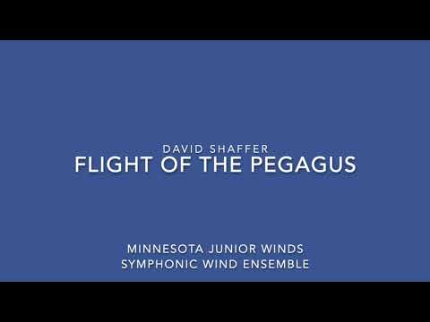 Flight of the Pegasus - David Shaffer