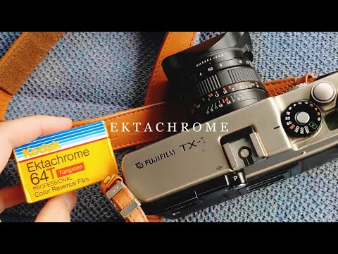 An Ektachrome Christmas 4