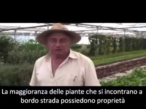 Farmaci da dolori alle articolazioni e alla schiena Malattia comune è il nome del fluido