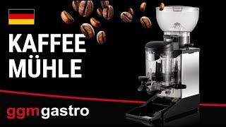 Moulin à café - 1 kg - 77 dB - avec doseur - corps en inox