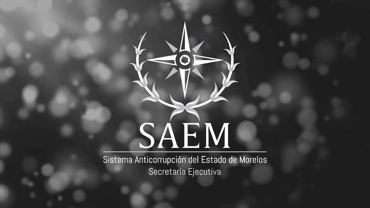 Segunda Sesión Ordinaria 2024 del Órgano de Gobierno de la Secretaría Ejecutiva del SAEM