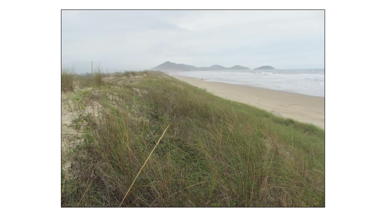 ASPECTOS GERAIS SOBRE A VEGETAÇÃO DE RESTINGA NO ESTADO DO RIO GRANDE DO SUL