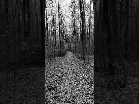 Fejt x Żołnierz x Kania KN ft. Kenz- Czarno biała rzeczywistość