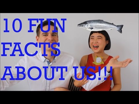 MATSAN：關於我們的10個有趣的事實! (MATSAN: 10 Fun Facts about Us!)