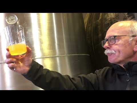 Gurutzeta - Sagardoa hartzitzen euskal sagarraz / Fermentando la sidra con manzana vasca