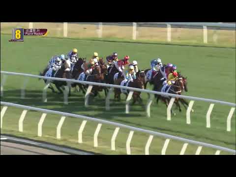 加州星球22/02/27……(460)第八塲四歲1800米(巡邏影片)