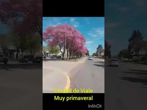 Paisaje primaveral ciudad de Viale, Entre Ríos, Argentina.