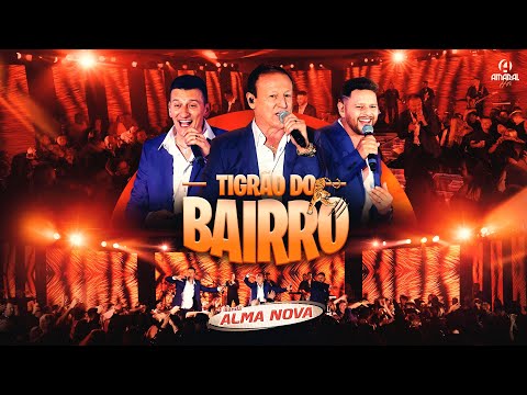 Banda Alma Nova - TIGRÃO DO BAIRRO (Ao Vivo do Bailão ao Pop)