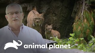 Thumbnail del capítulo