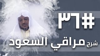 شرح مراقي السعود - 36- الشيخ محمد محمود الشنقيطي image