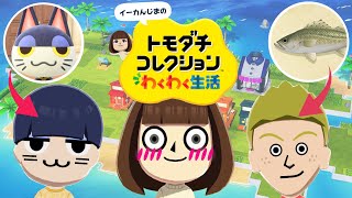 【トモコレ】遂に発売！あつ森キャラと新たな島生活で大波乱！【トモダチコレクションわくわく生活 #2】