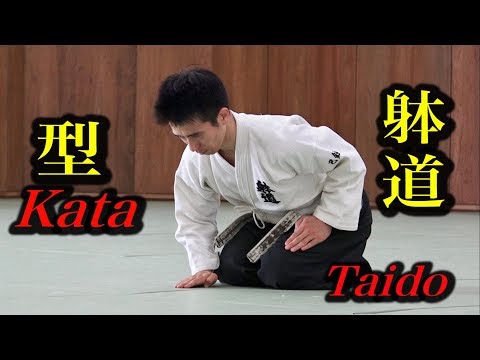 これが躰道か！【2】美しき型の秘密 This is Kata of Taido!